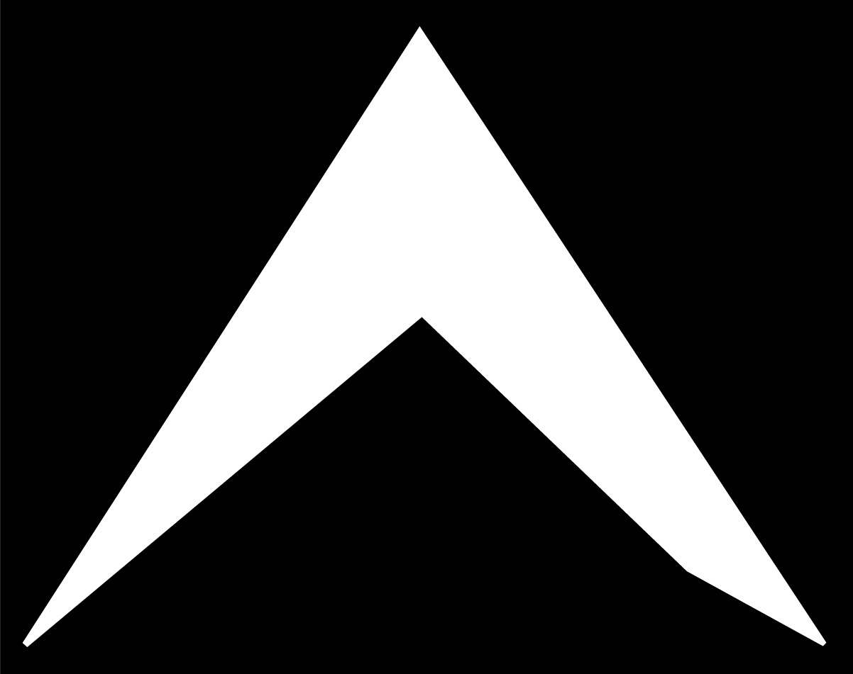 BlackPeak Consulting Logo